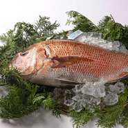 野菜の皮や魚の骨も使い切り、生産者と連携して規格外の野菜を買い取るなど、フードロス削減に注力。SDGsの目標14「海の豊かさを守ろう」に関連して、海の環境保全に配慮したホタテや鯛を仕入れています。