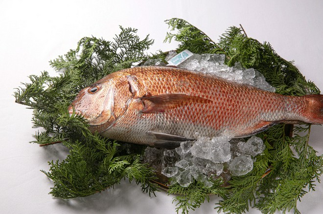 食材にこだわっている