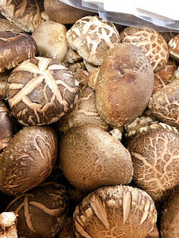 宮崎産　原木椎茸