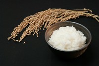 お水の美味しい滋賀県のお米は、近江うしとも相性は勿論、最高です。
大盛や少な目も出来ます。お声がけ下さいませ。