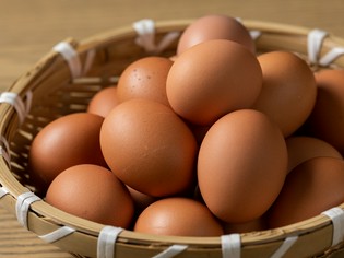 シンプルだからこそ良いものを。のびのび育った健康な卵