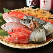 刺身には、伊豆天城産の本ワサビをすりたてで添えています。風味豊かなワサビは、醤油をかけずに直接刺身に乗せていただくのが【魚男】流。素材の持ち味を存分に楽しめ、ワサビだけでもお酒に合います。