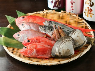 四季折々の旨みを蓄えた鮮魚と、魚介の味を引き立てる本ワサビ