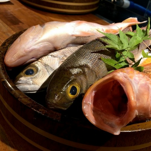 新鮮な旨い魚を料理人の技術で仕上げる