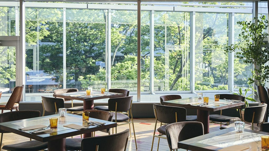 表参道のケヤキ並木が窓一面に広がるスタイリッシュな空間