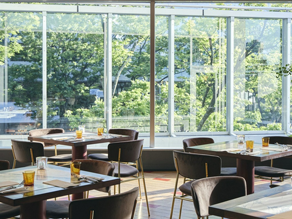 表参道のケヤキ並木が窓一面に広がるスタイリッシュな空間