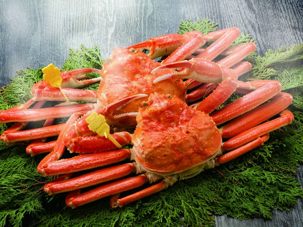 越前福井の食材をはじめ、こだわりの食材たちが、感性を魅了する