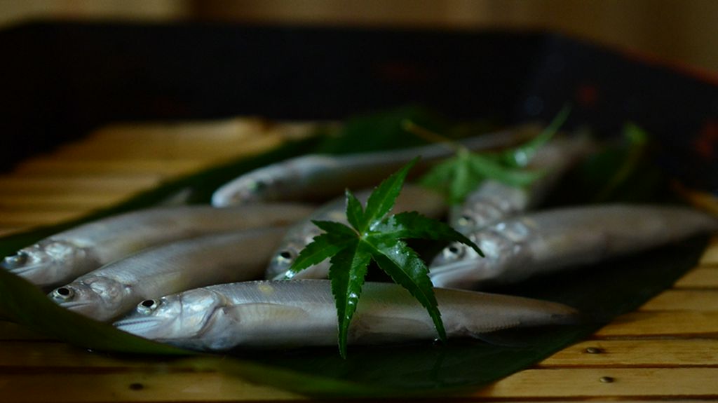 清らかな水で育った鮎を、季節ごとに最も美味しい状態でご提供