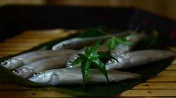Hamamachiobata
