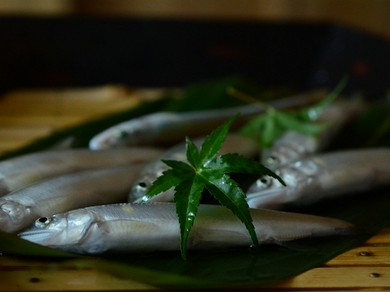 清らかな水で育った鮎を、季節ごとに最も美味しい状態でご提供