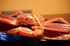 越前海の王者　越前蟹　を余す事なくお愉しみいただける特別なお献立
