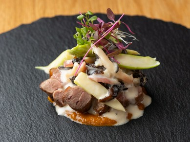 季節を感じるコース料理を、洗練された空間で