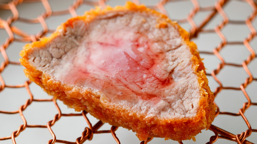 驚きの美味が続々登場！進化系とんかつのワンダーランド