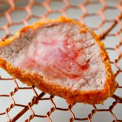 驚きの美味が続々登場！進化系とんかつのワンダーランド