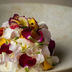 モダンな設えに映える彩り、記憶に残る華やかな美食の舞台