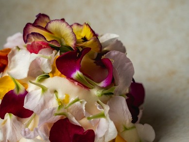 モダンな設えに映える彩り、記憶に残る華やかな美食の舞台