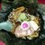 シェフのおすすめ料理