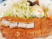 豚子新地