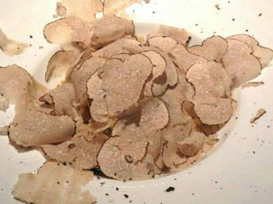 シェフのおすすめ料理