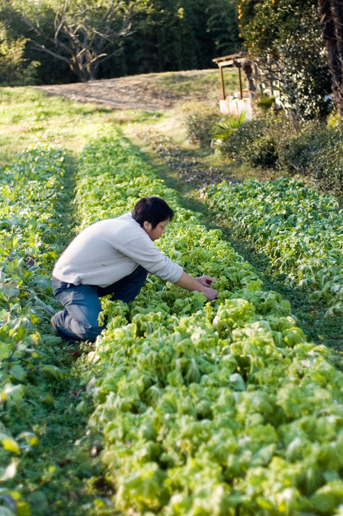 増田 亨 氏