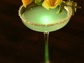 フェイバリット（FAVORITE）