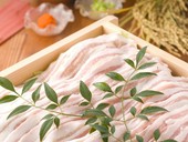 居酒屋　金魚