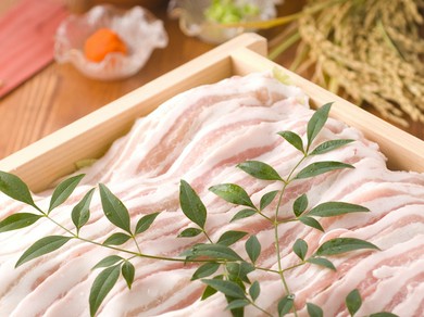 シェフのおすすめ料理