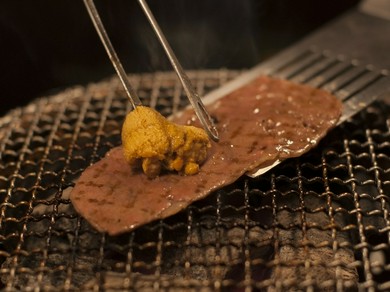 シェフのおすすめ料理