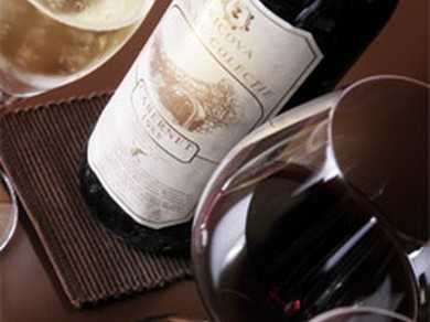 シェフのおすすめ料理