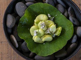 ヴィラ アイーダ