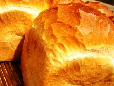 シェフのおすすめ料理