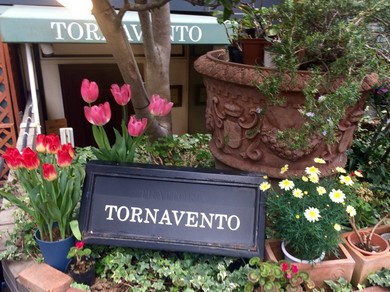 シェフのおすすめ料理