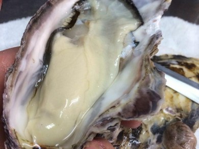 シェフのおすすめ料理