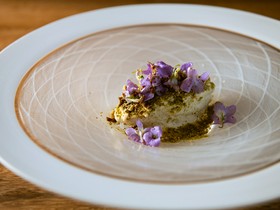 Villa　della　Pace　