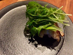 アカ（aca 1°）