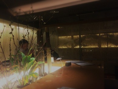 シェフのおすすめ料理