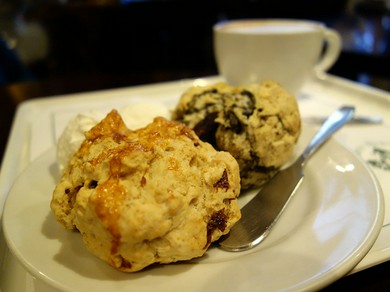 シェフのおすすめ料理