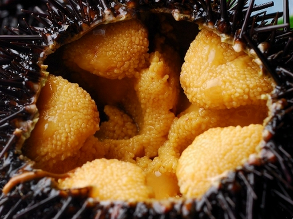 いけす料理馳走亭