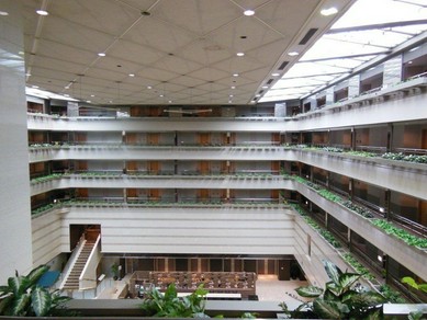 シェフのおすすめ料理