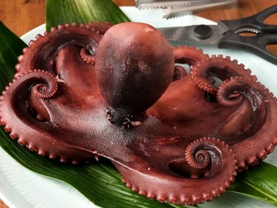 シェフのおすすめ料理