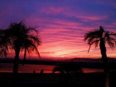 シェフのおすすめ料理