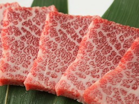 和牛焼肉　すえもと　錦本店