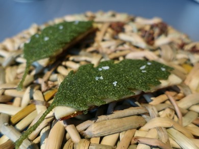 シェフのおすすめ料理