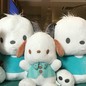 ポチャッコ