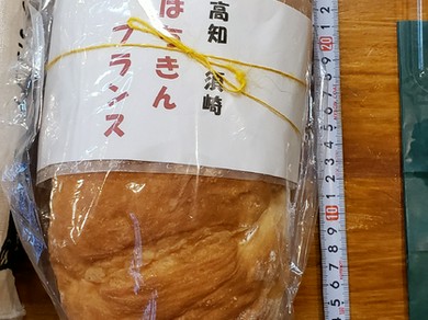 シェフのおすすめ料理
