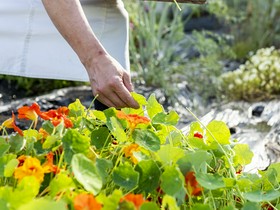 ヴィラ アイーダ