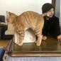 藤崎　直輝